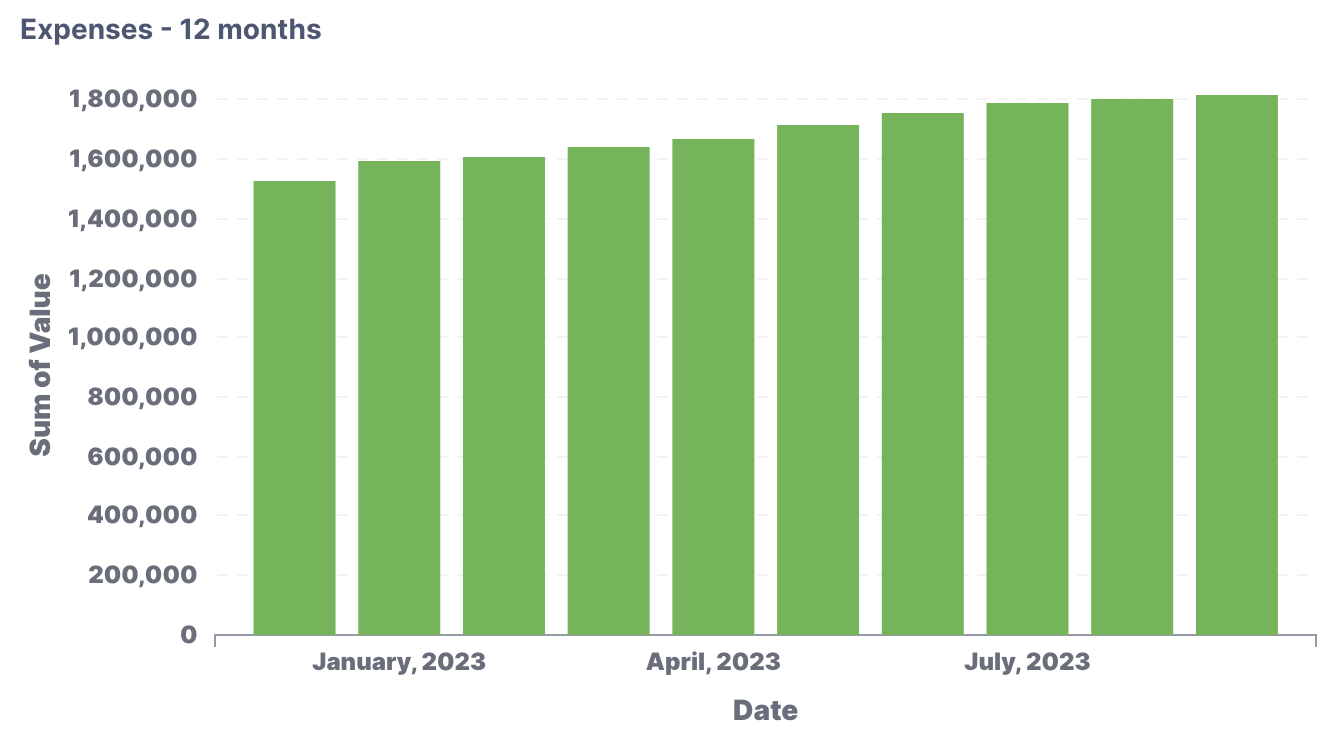Expense_-_12_months.png