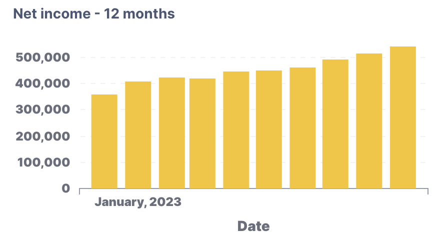 Net_Income_-_12_Months.png